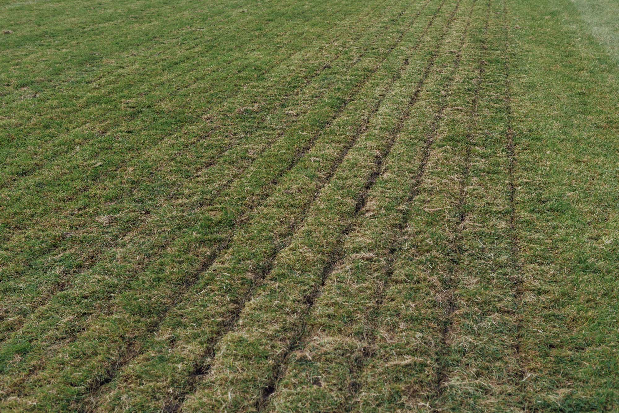 Uttoxeter Racecourse project photography 6
