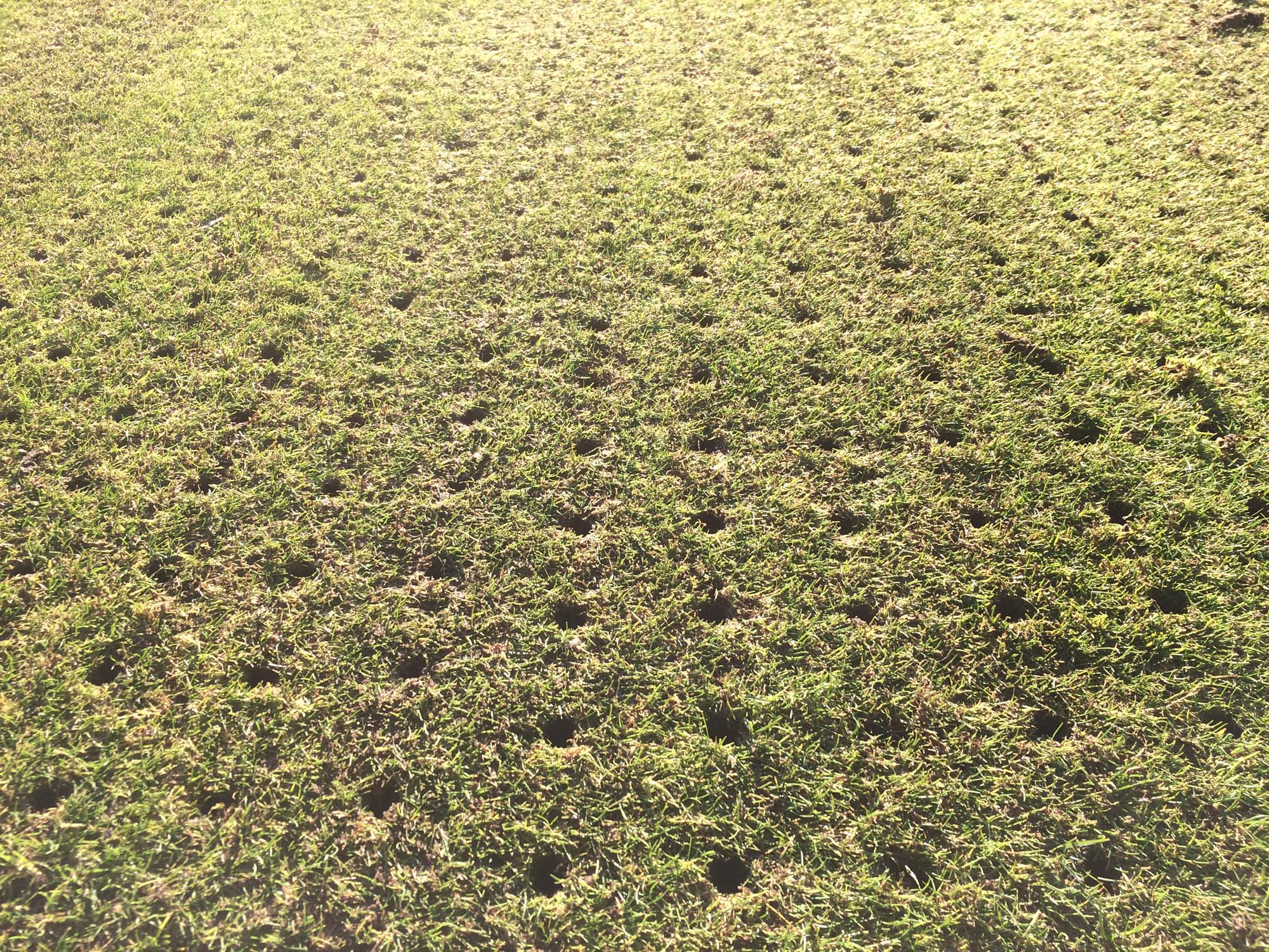 Lords Cricket Ground project photography 2