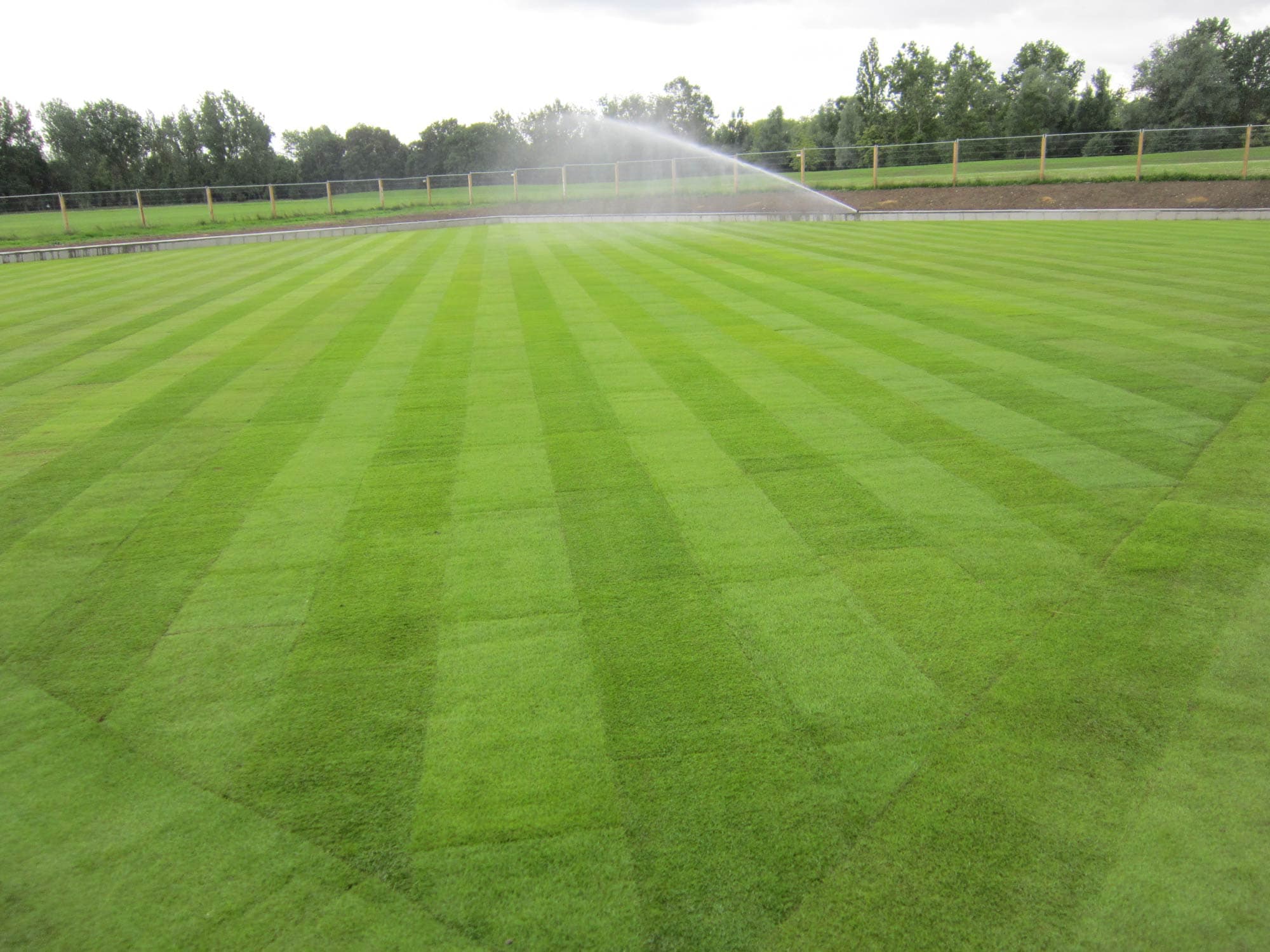 Basildon Sports Village project photography 18