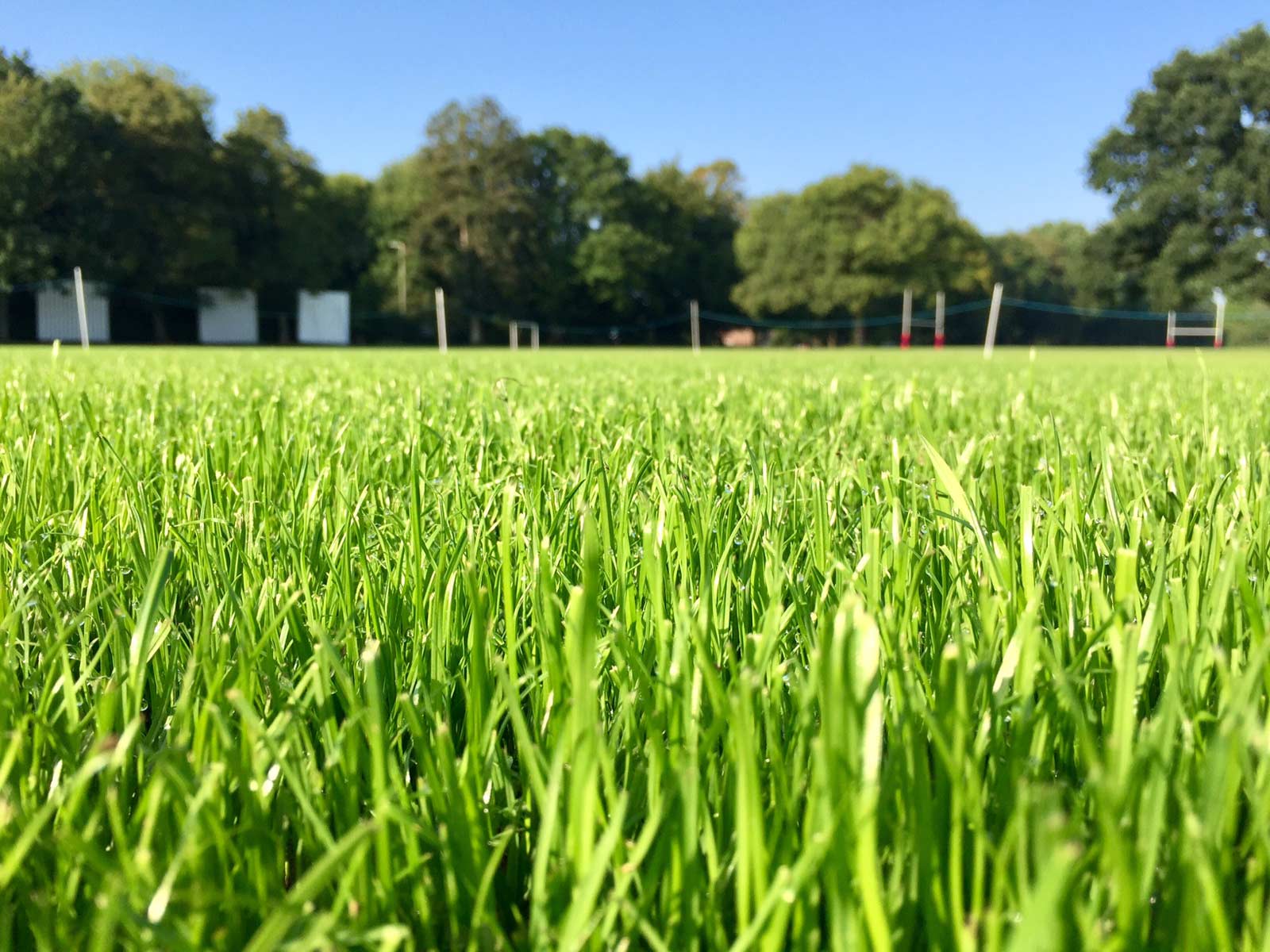 Berkhamstead School project photography 15