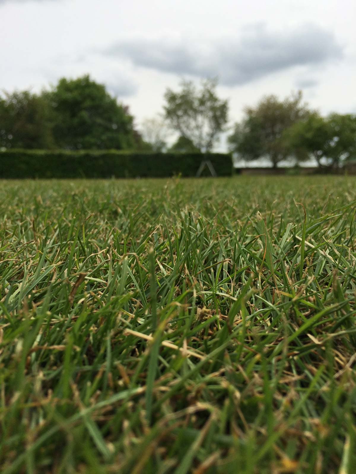 Reading Croquet Club project photography 31