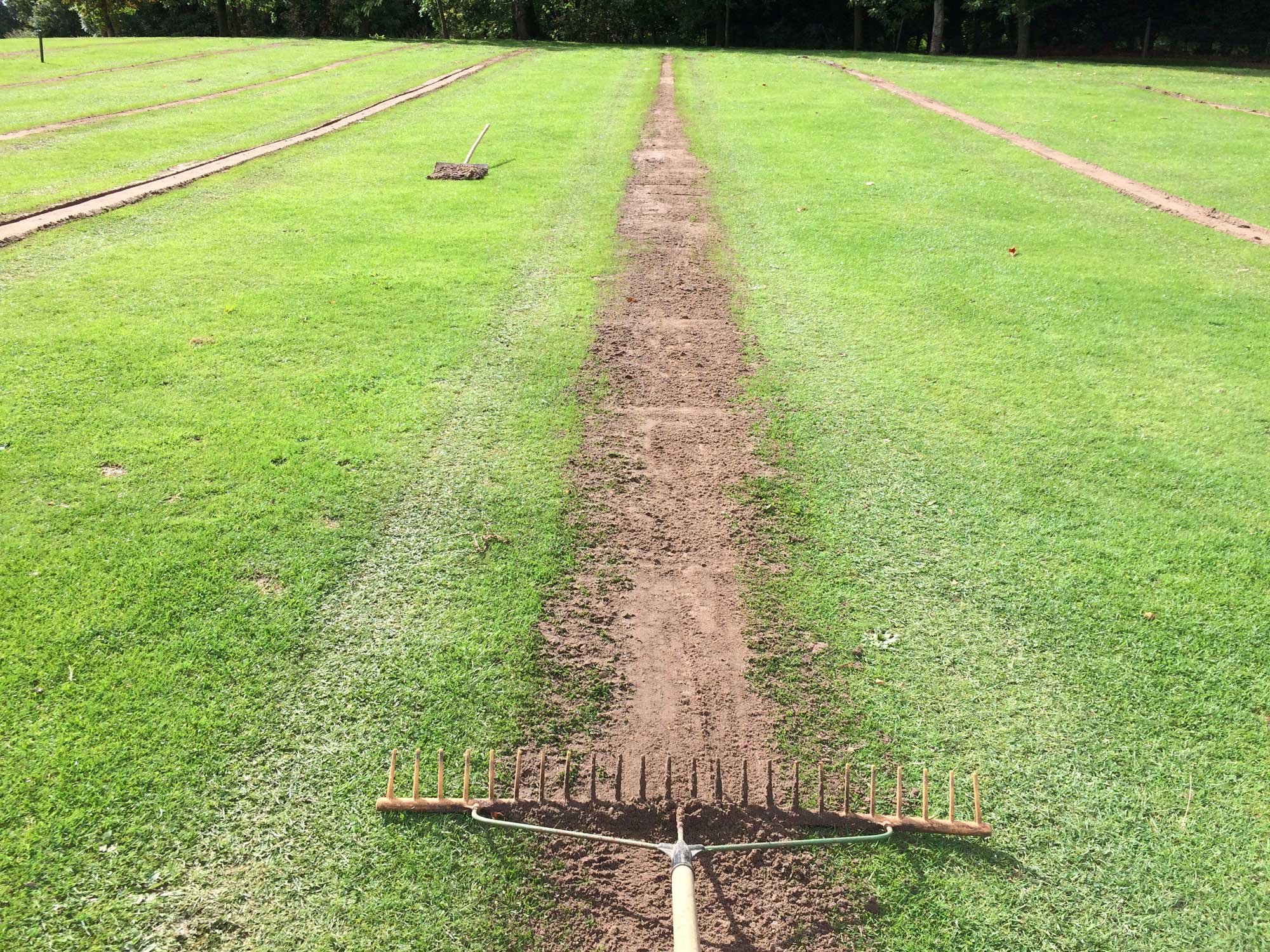 Gainsborough Golf Club project photography 8