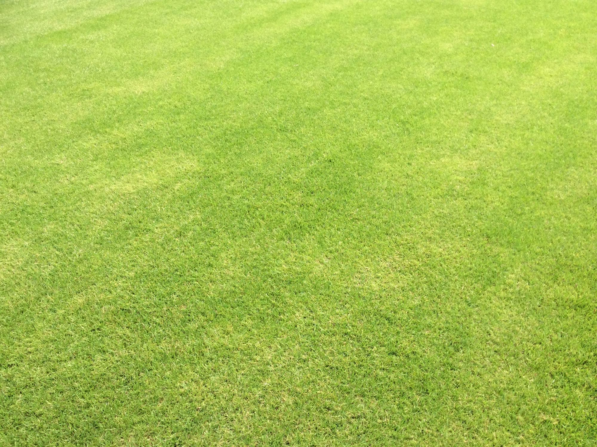 Gillingham FC project photography 12