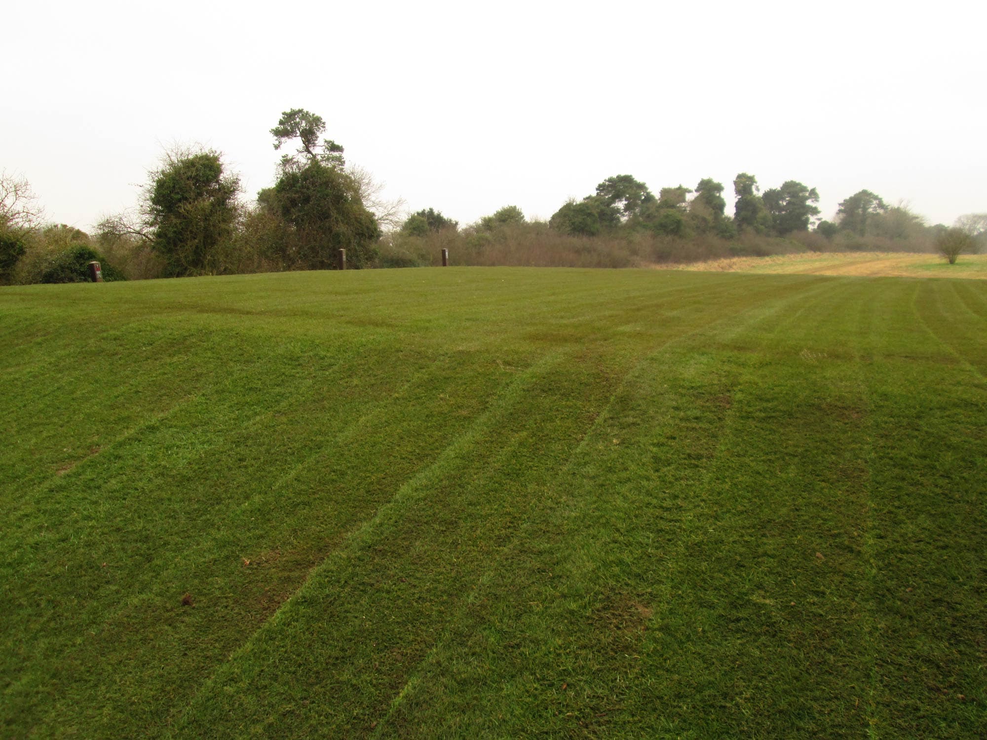 Hockley Golf Club project photography 4