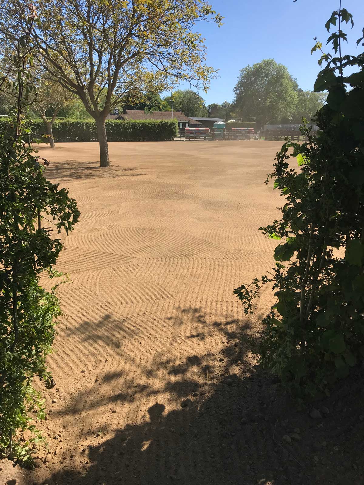 Julie Toll Landscaping