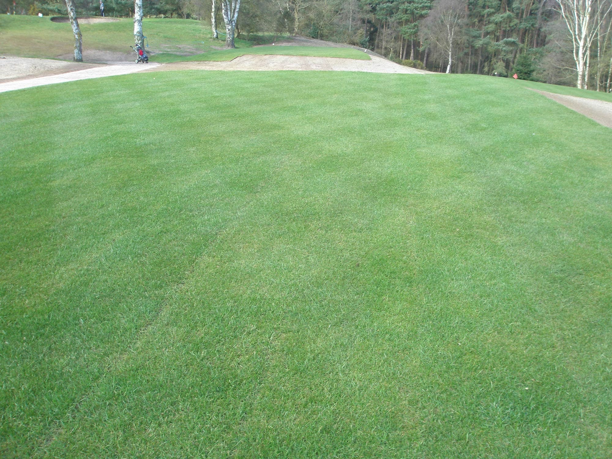Leighton Buzzard Golf Club project photography 15