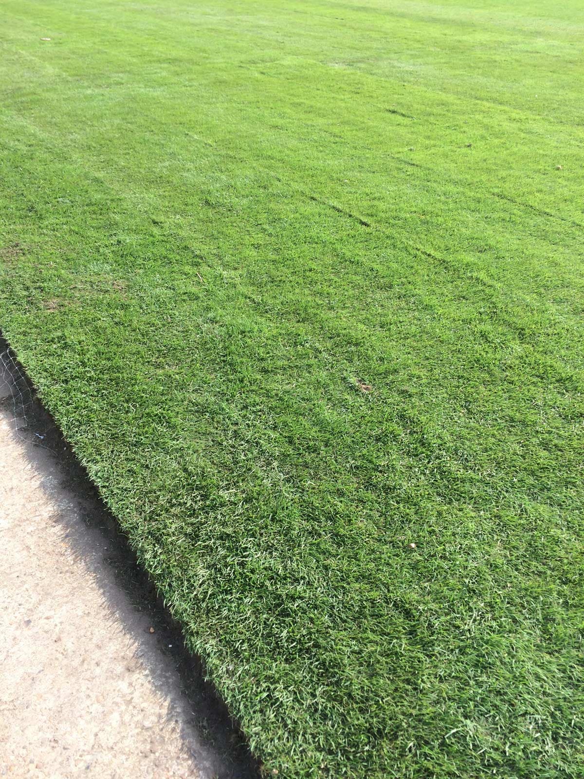 Lords Cricket Ground project photography 11