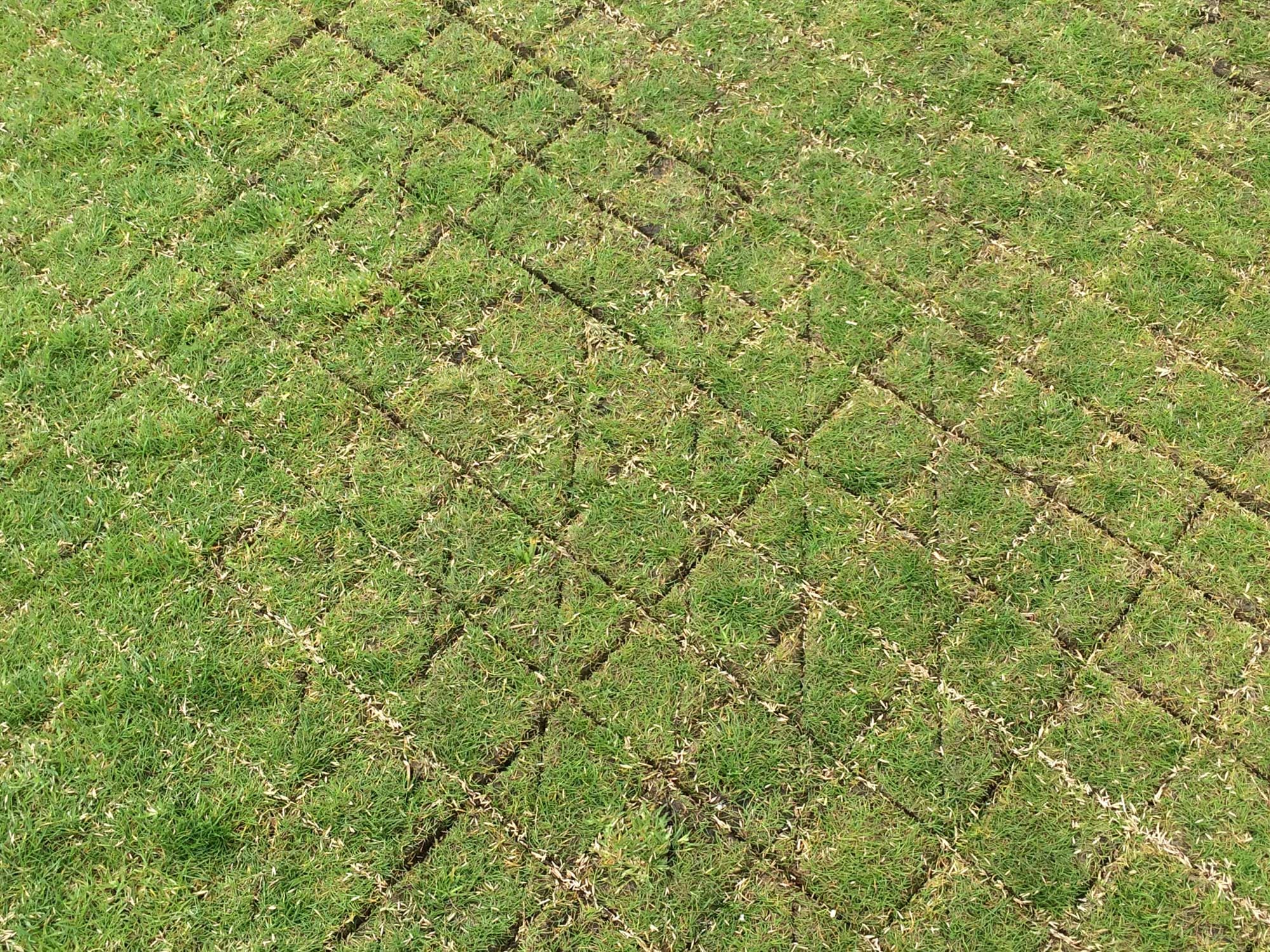 Lords Cricket Ground project photography 13