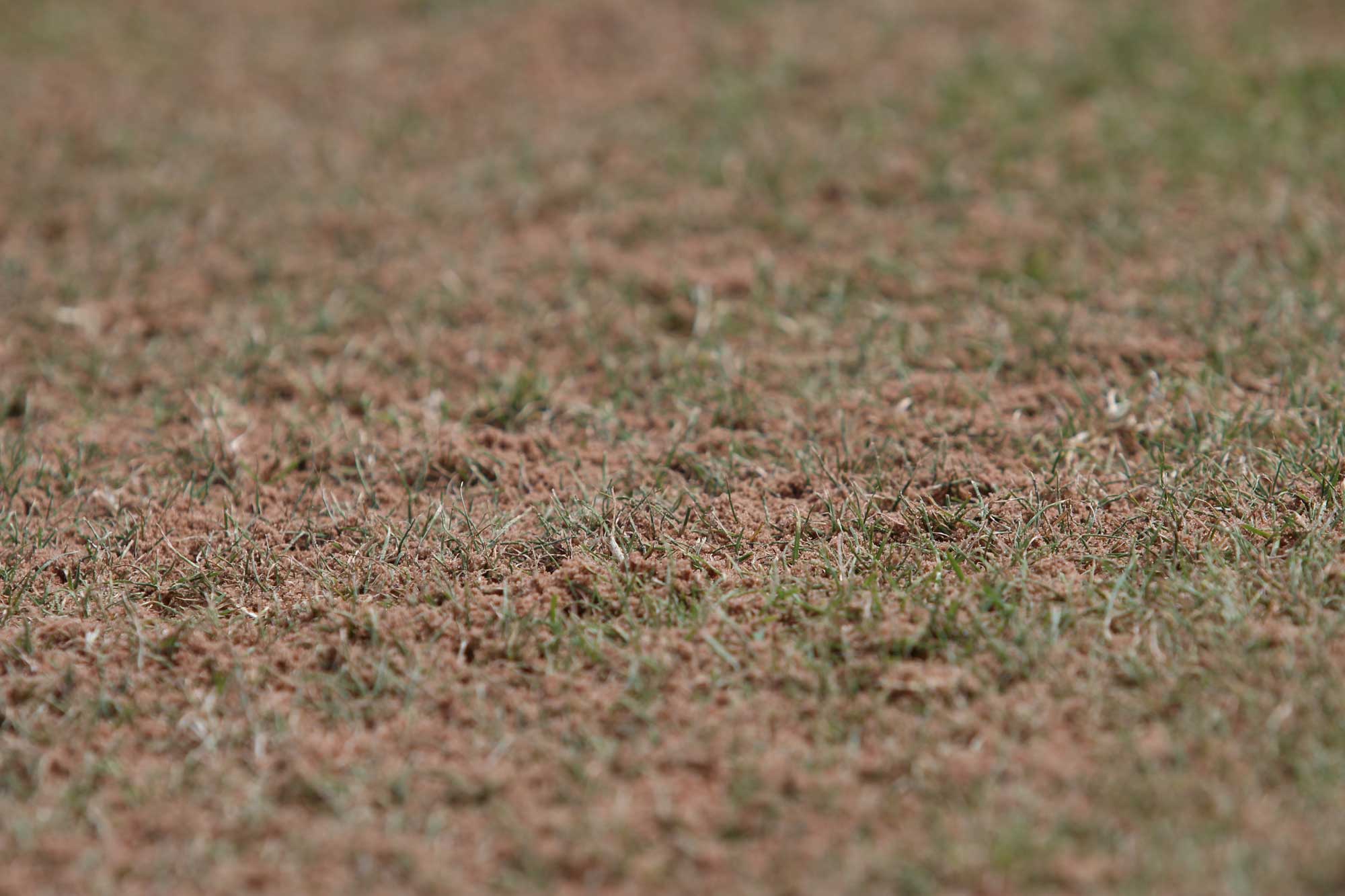Manchester United FC Carrington Training Complex project photography 16