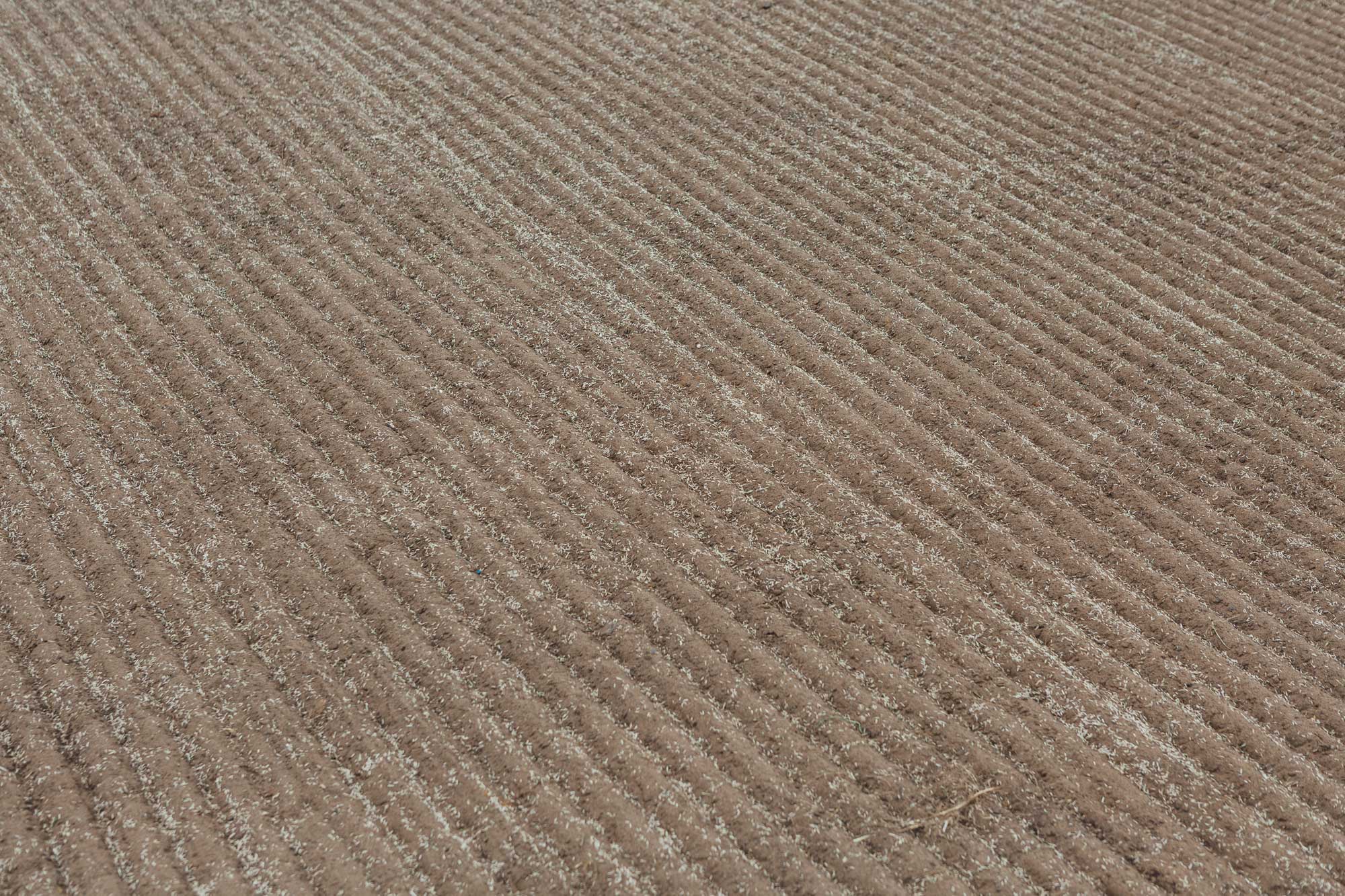 Market Rasen Racecourse project photography 8