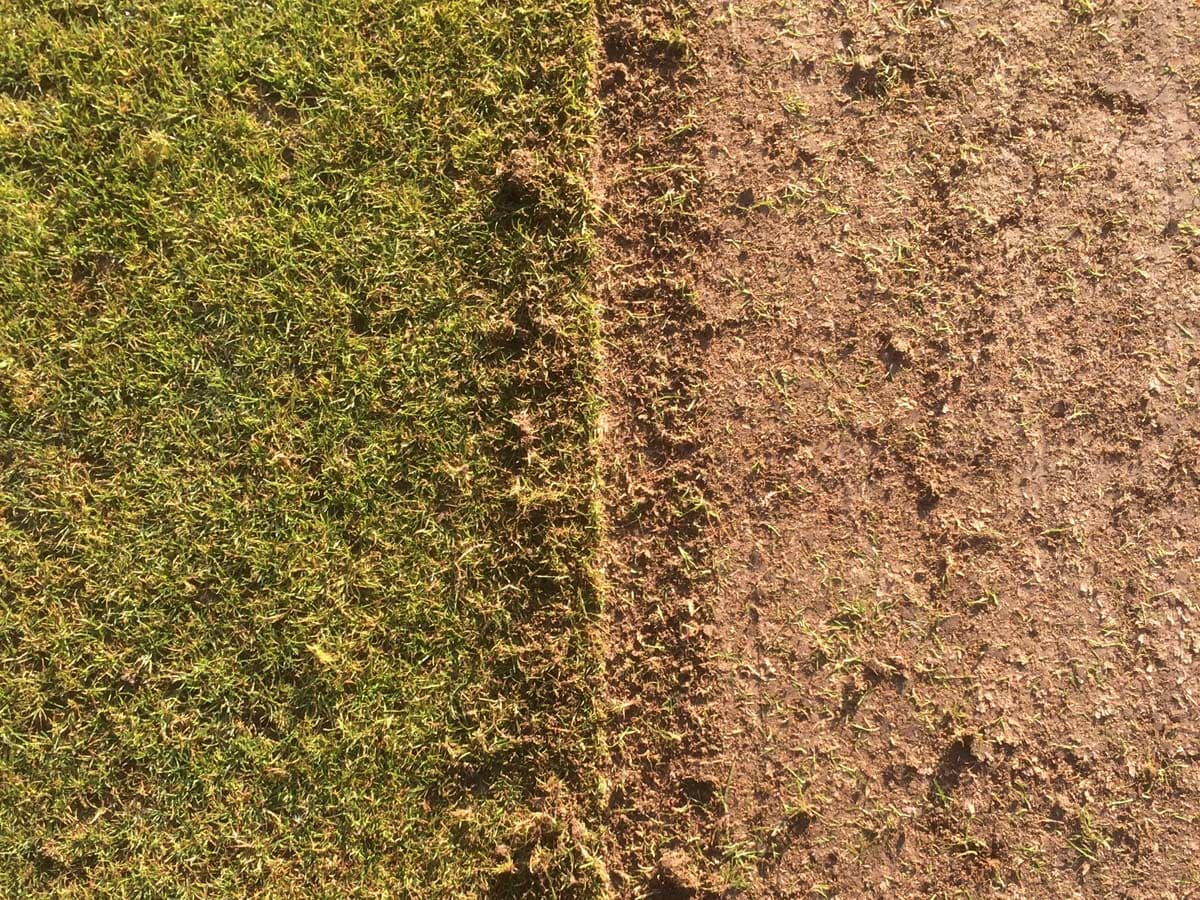 North Runcton Cricket Club project photography 3