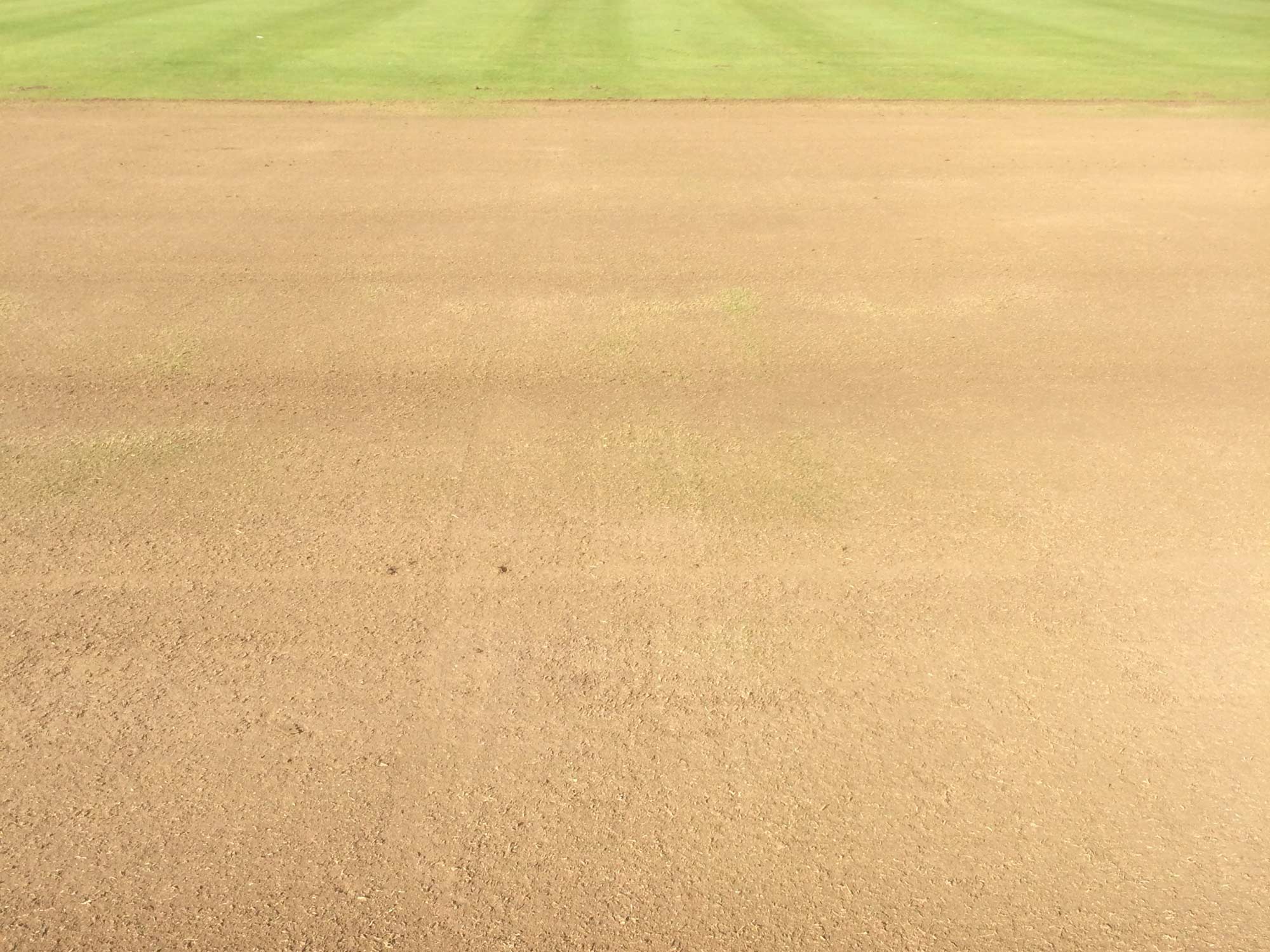 North Runcton Cricket Club project photography 5