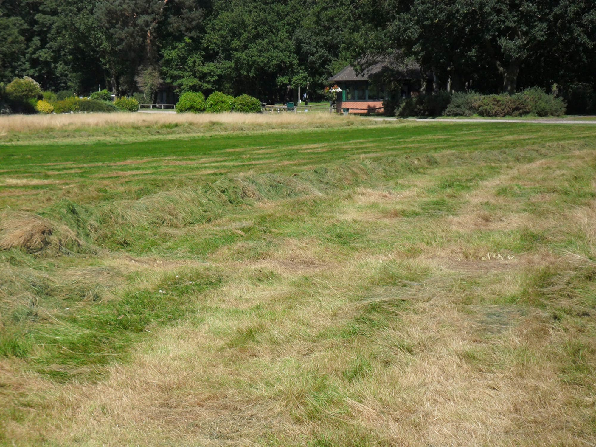Golf Course Rough Cutting and Grass Baling project photography 19