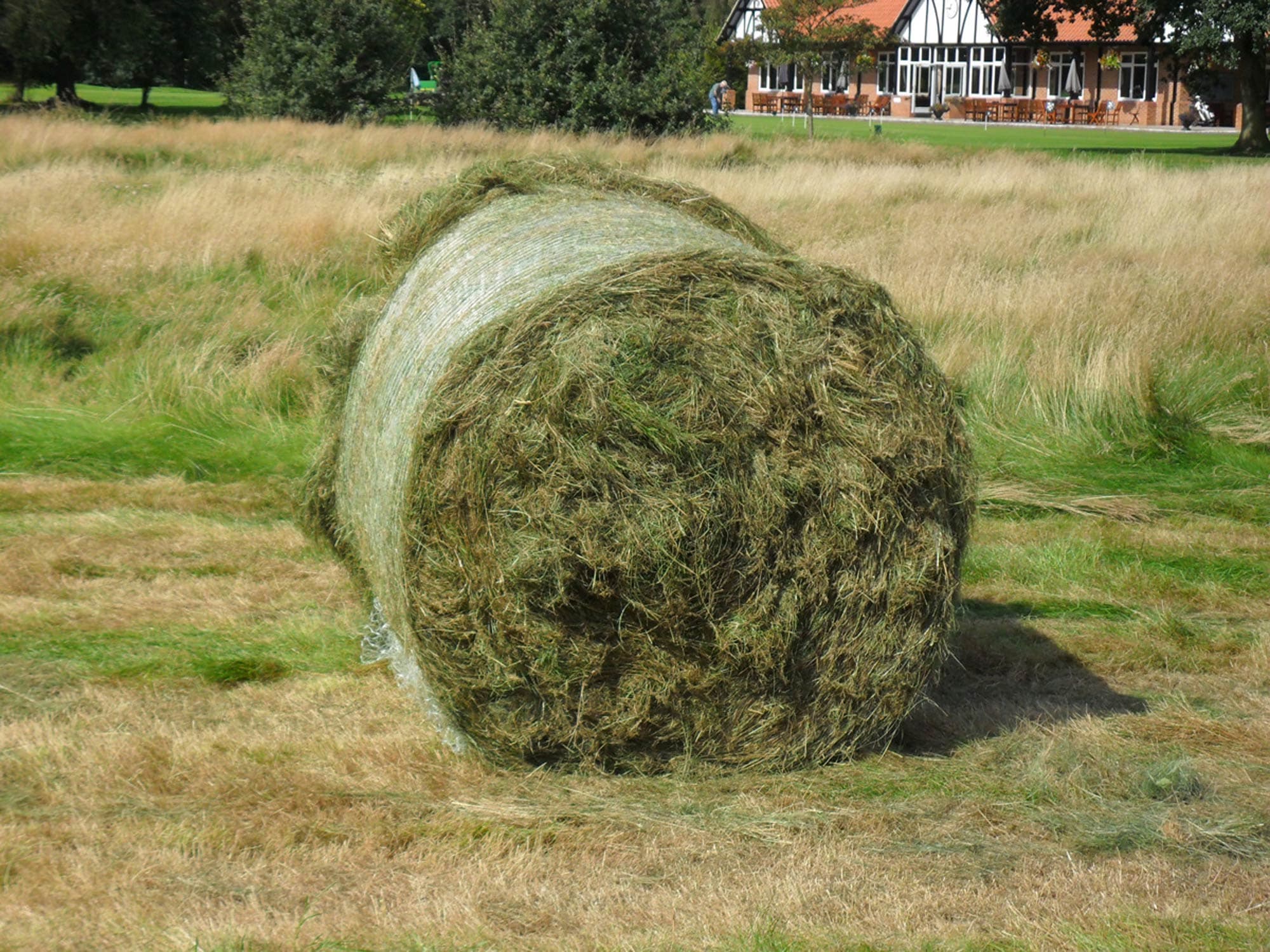 Golf Course Rough Cutting and Grass Baling project photography 24