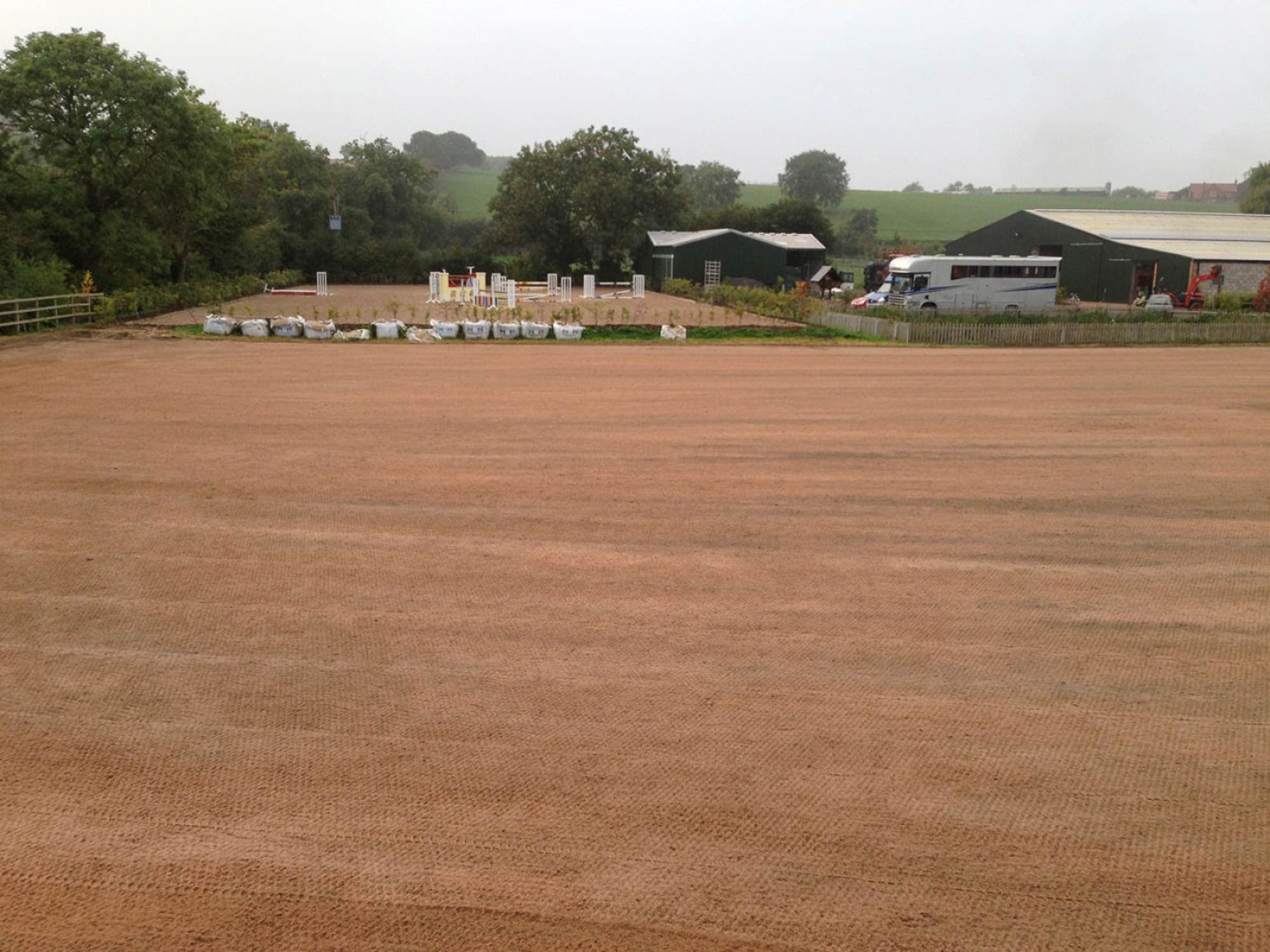 Billy Twomey Show Jumper
