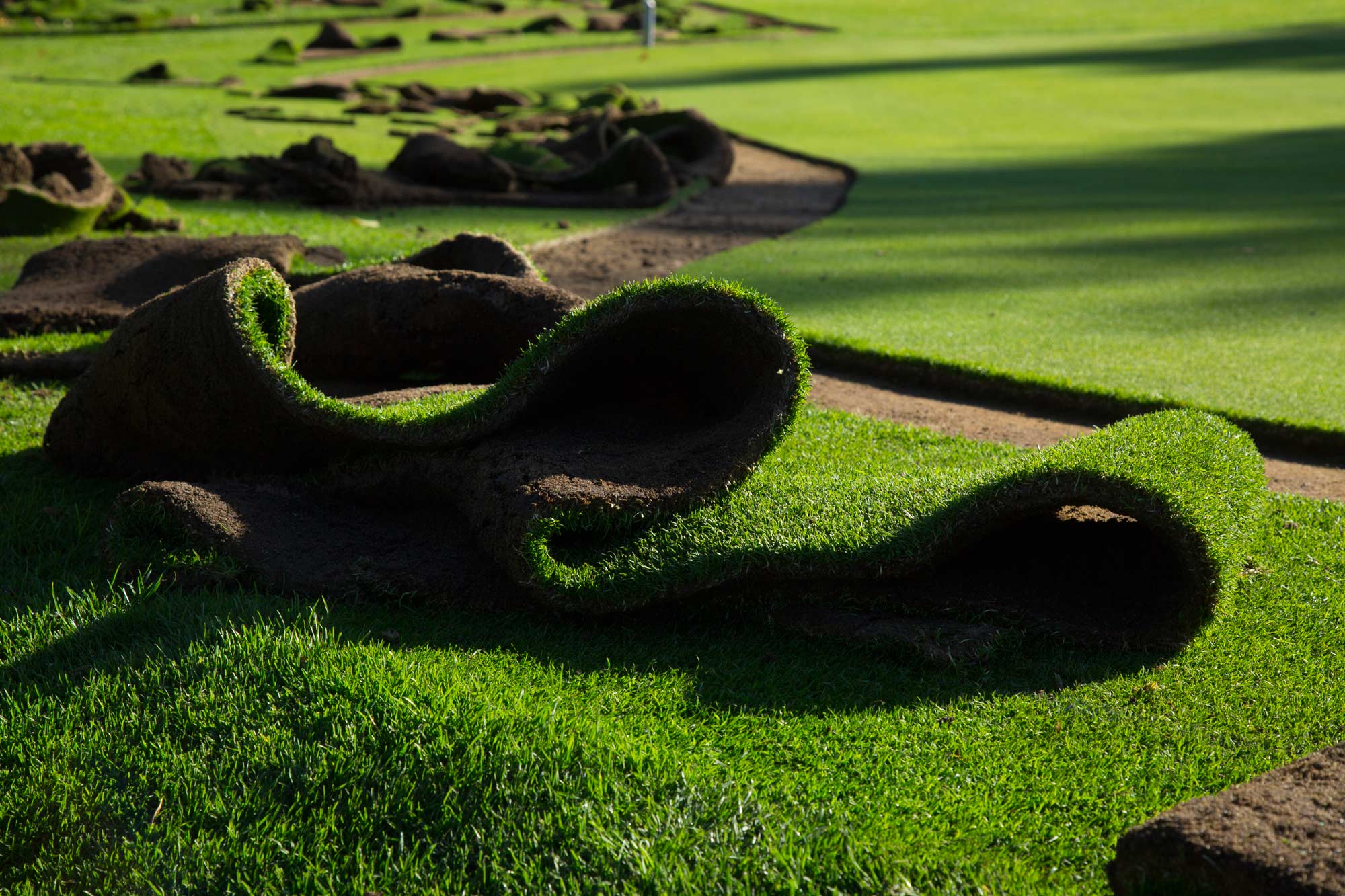 Spalding Golf Club project photography 4