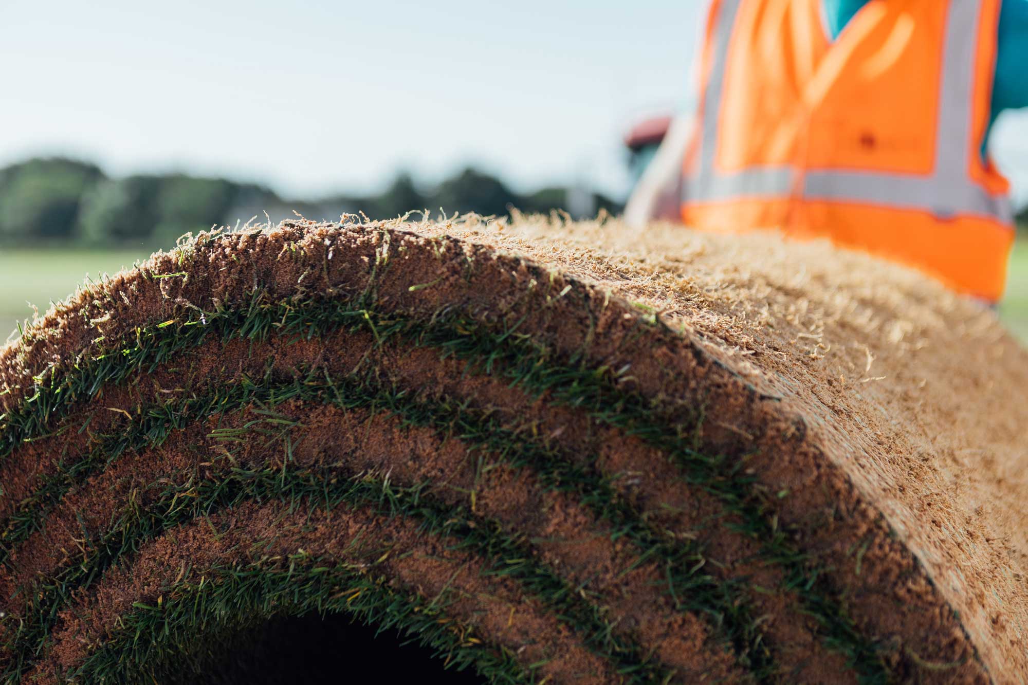Hybrid Turf project photography 2