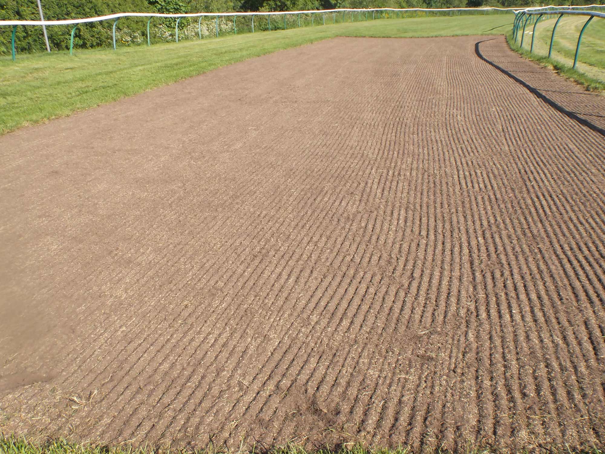 Warwick Racecourse project photography 6