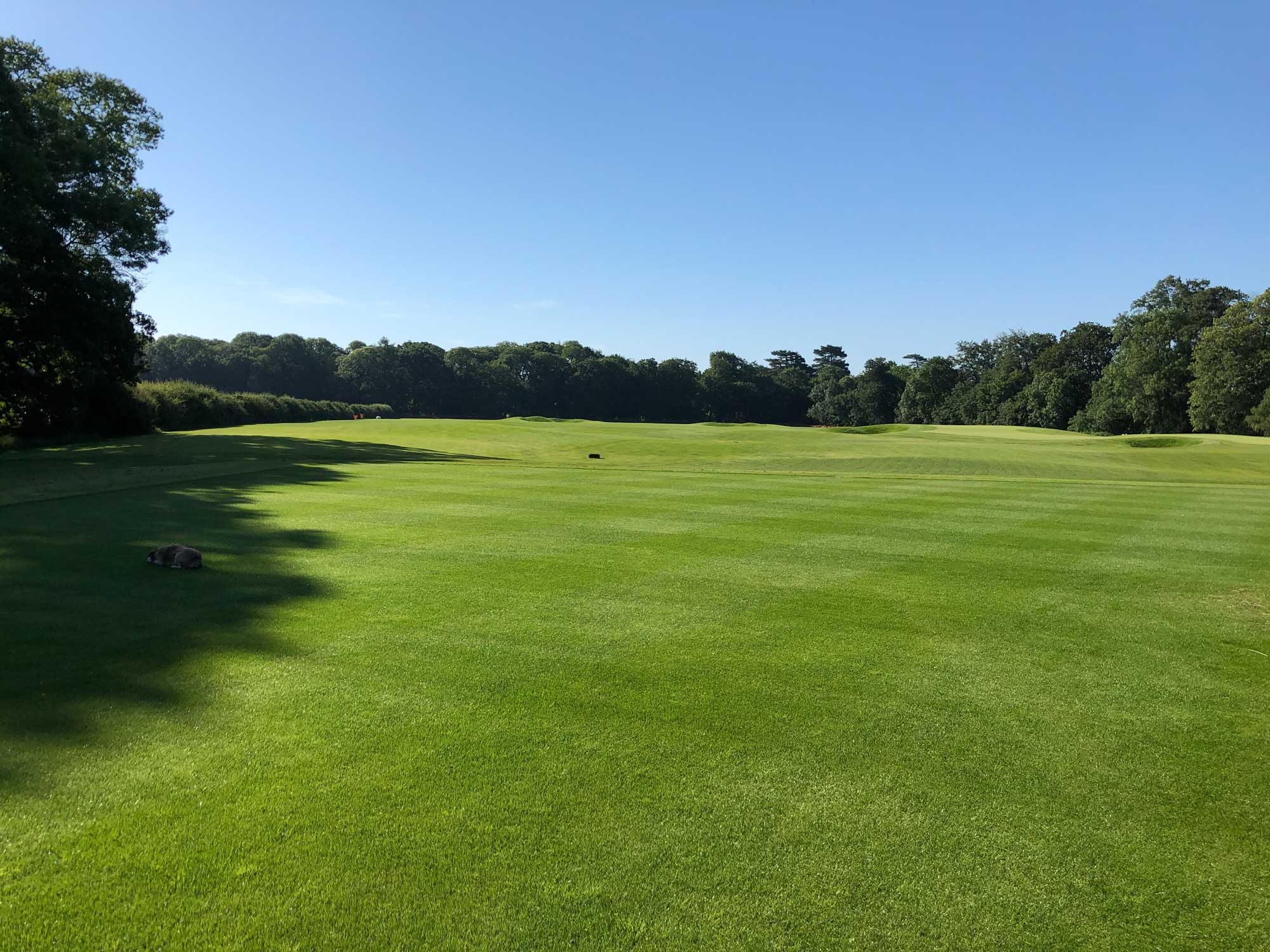 Woburn Golf Club